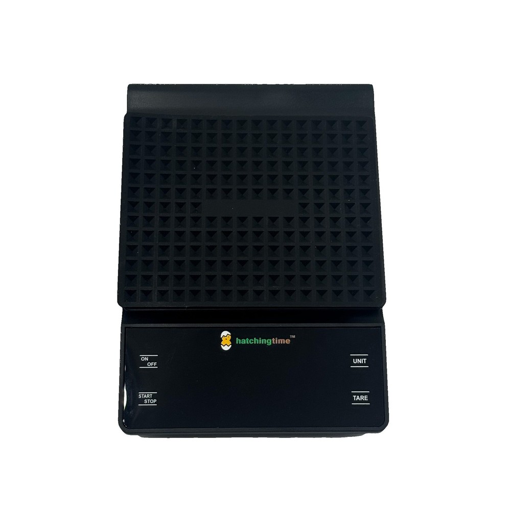 Digital Egg & Kitchen Scale - 6.6 lb Capacity