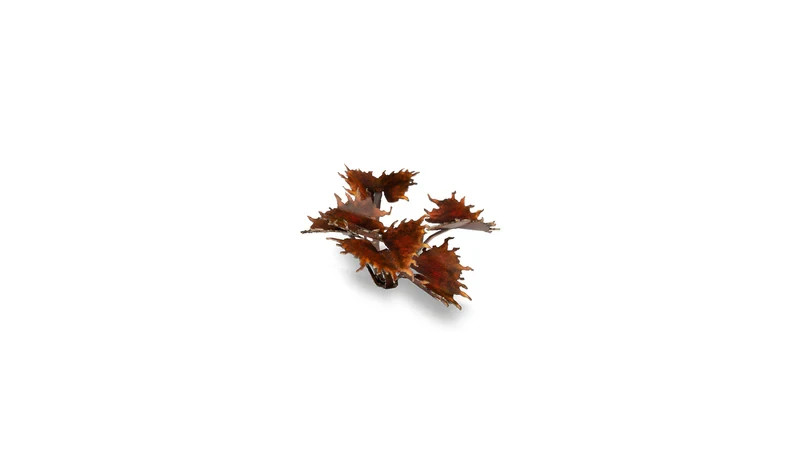 Gamers Grass GGLP-AF Alien Flytrap
