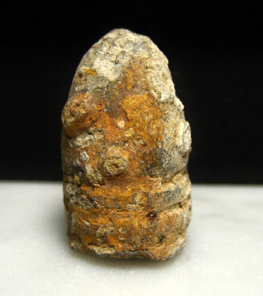 Battle of Cold Harbor VA Civil War Relic .577 Caliber Bullet Dug by Bill Gavin