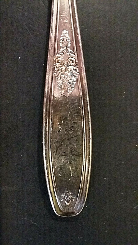 International Ambassador silverplate 6" teaspoon