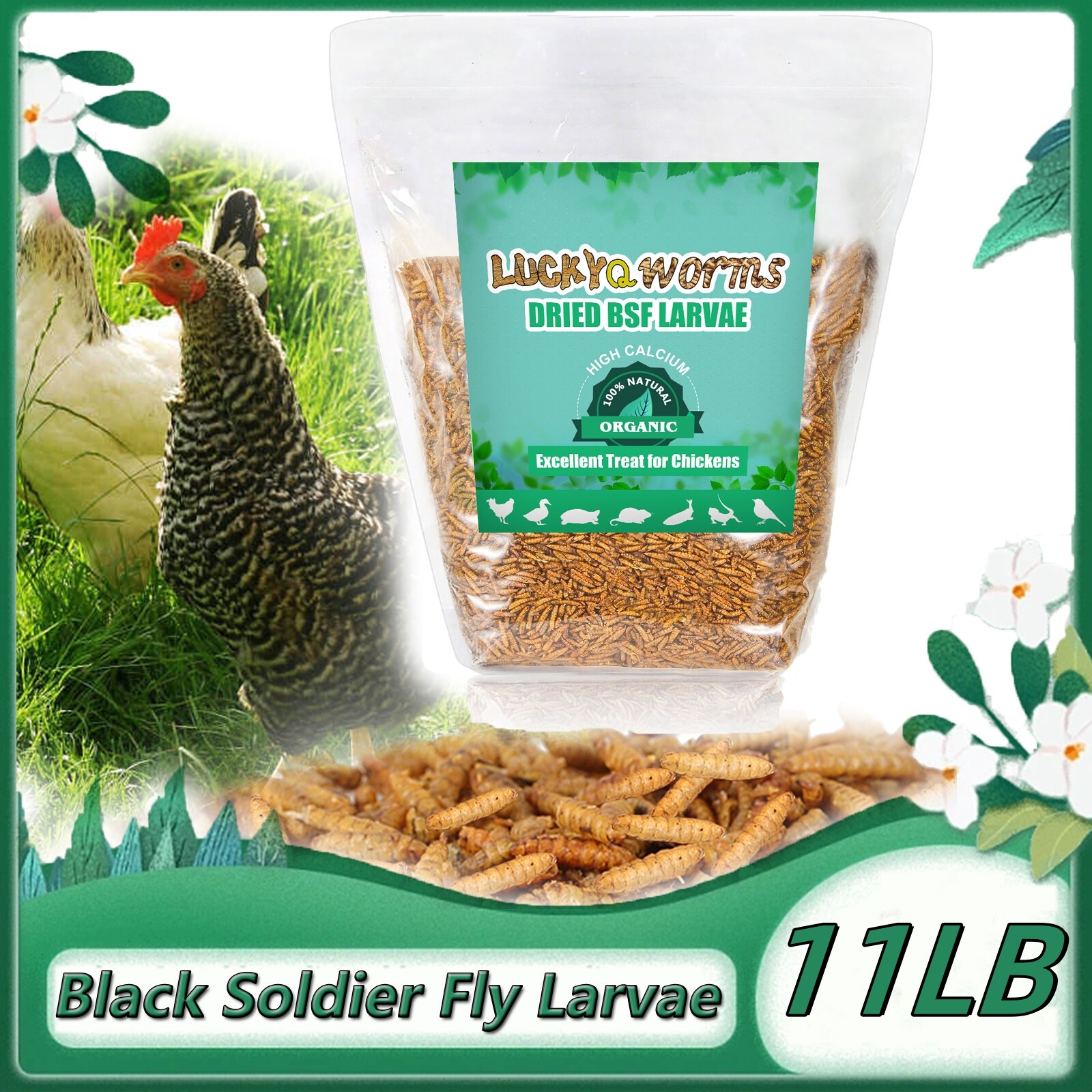 11 LBS Dried Black Soldier Fly Larvae Mealworms for Chicken Birds Treats Non-GMO