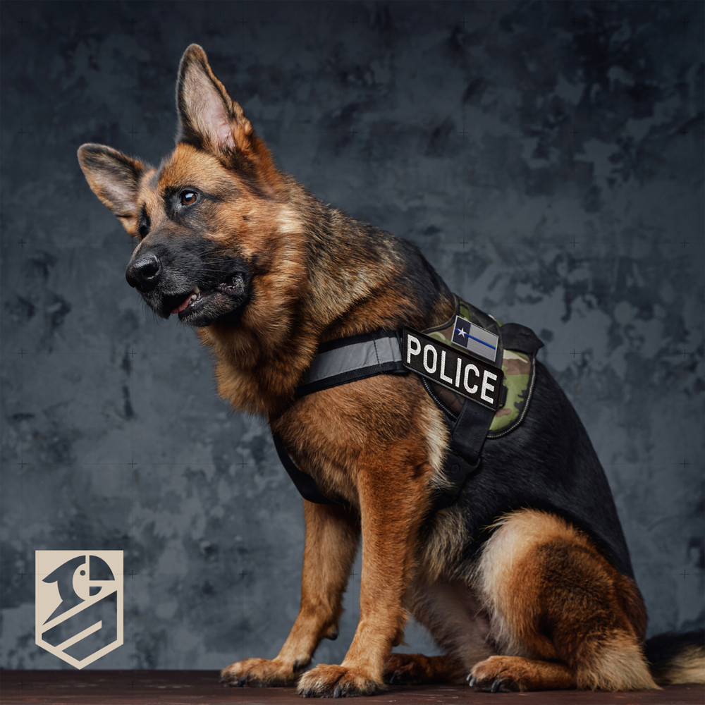 2Pcs Blue Line Flag Patch, Embroidered Texas Flag Patch with Thin Blue Line