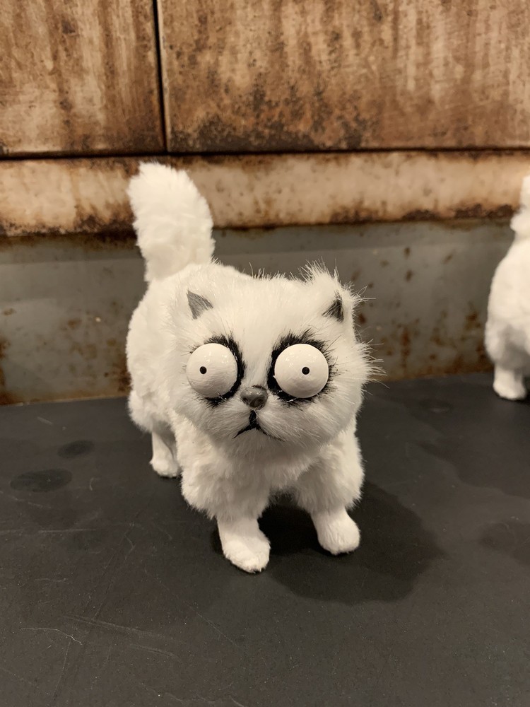 mr whiskers