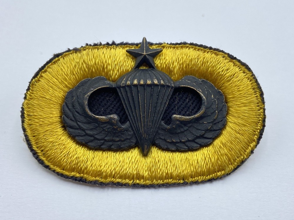 Vietnam War Senior Parachute Wings 3rd Battalion 504th Parachute Infantry Reg
