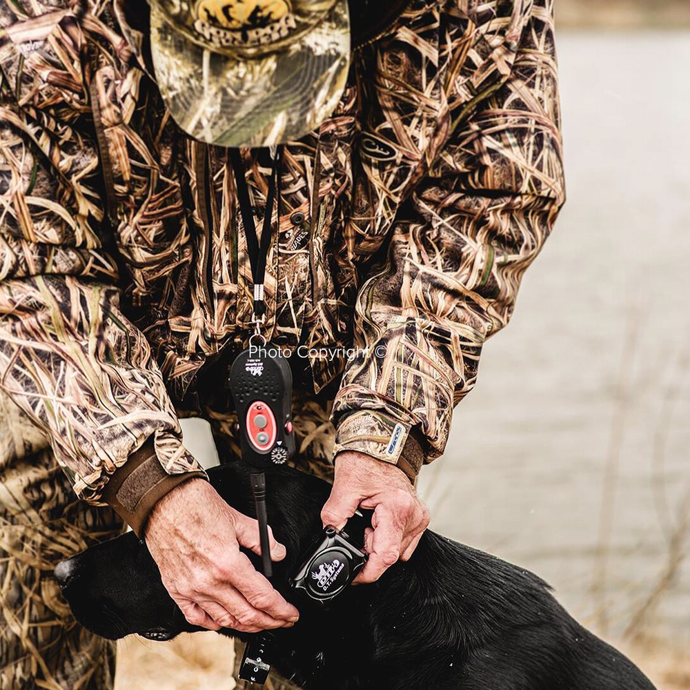 DT Systems H2O 1820 PLUS Expandable Dog Remote Trainer