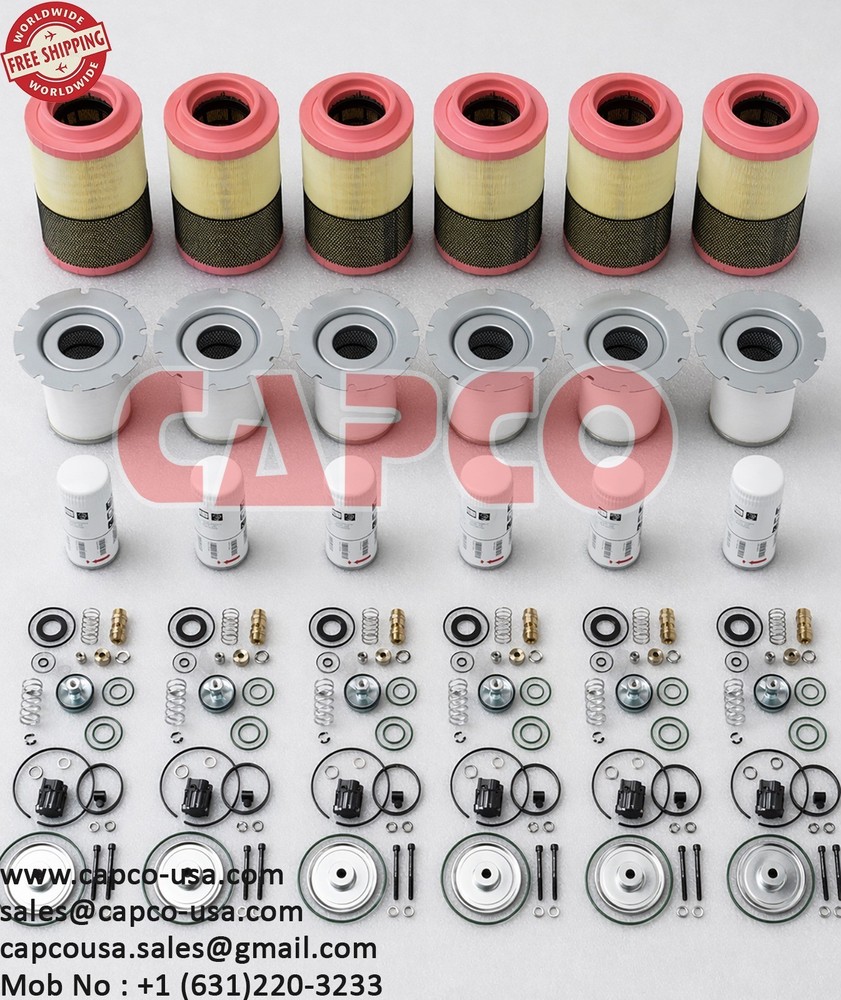 PREVENTIVE MAINTENANE KIT 3001160219
