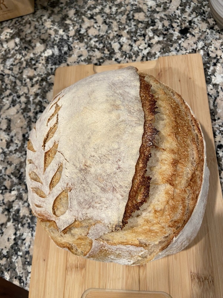 Dehydrated Sourdough Starter
