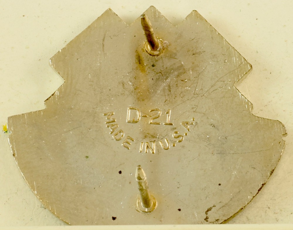 176th Engineer Group Crest DI/DUI CB D21 HM