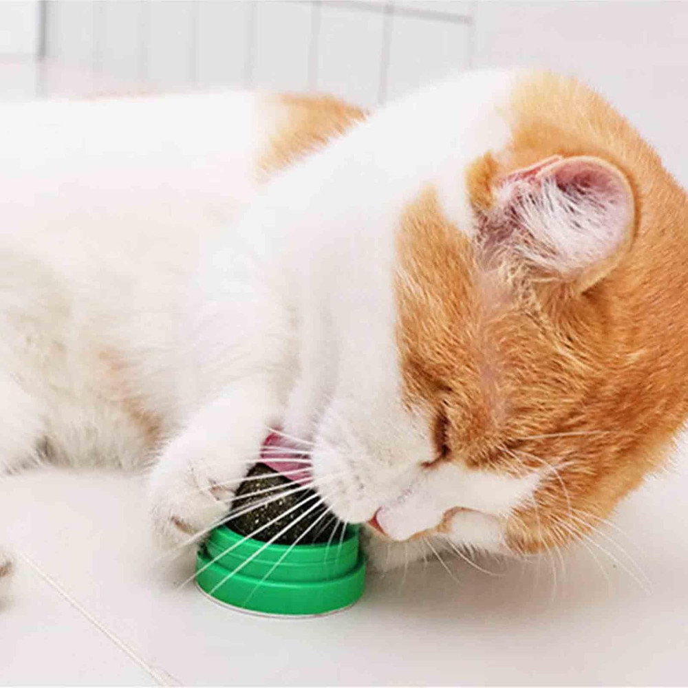 6 PCS Catnip Balls