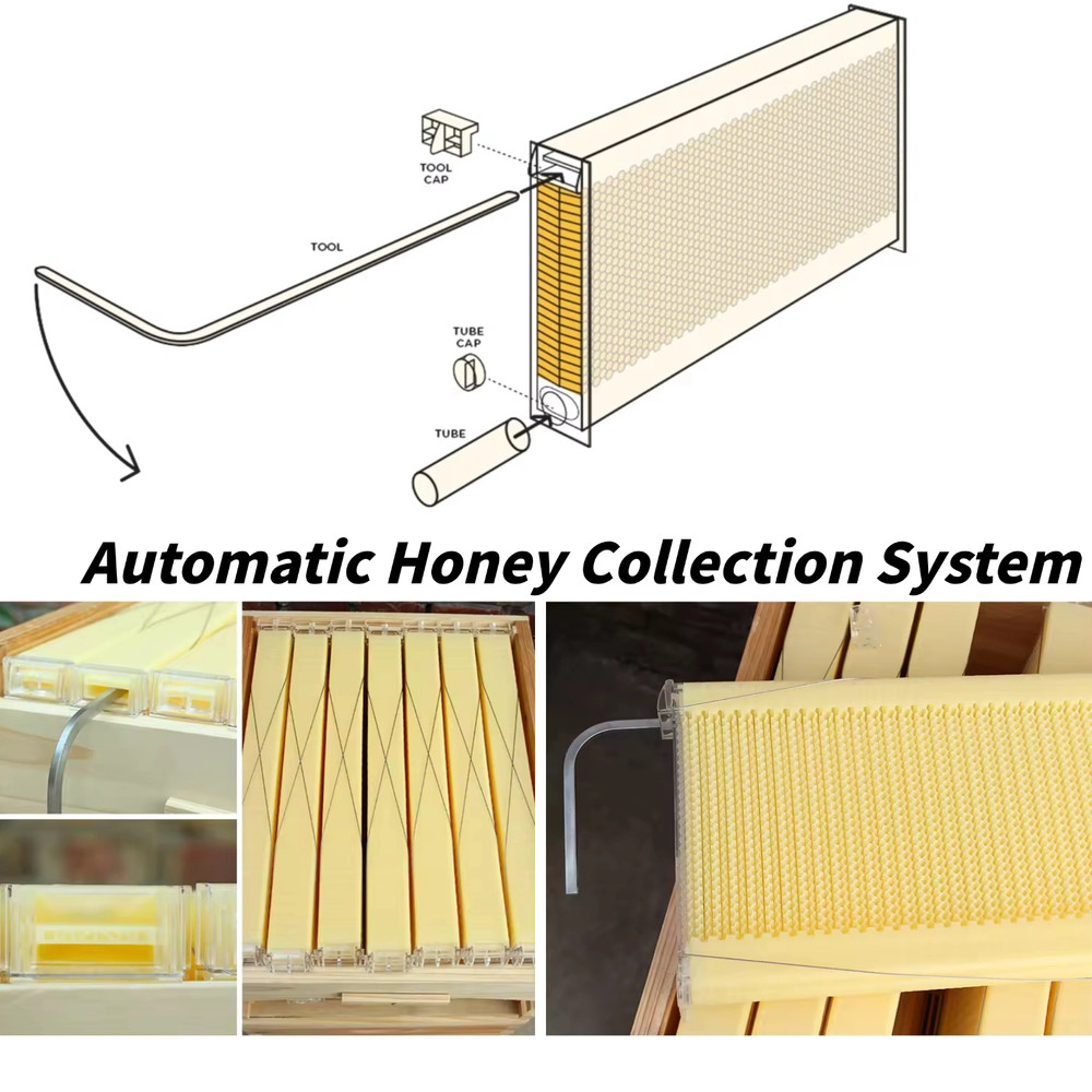 Bee Hive Boxes, Bee Hive Starter Kit - With 7 Flowing Bee Hive Frames