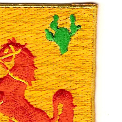 113th Cavalry Regimen Patch