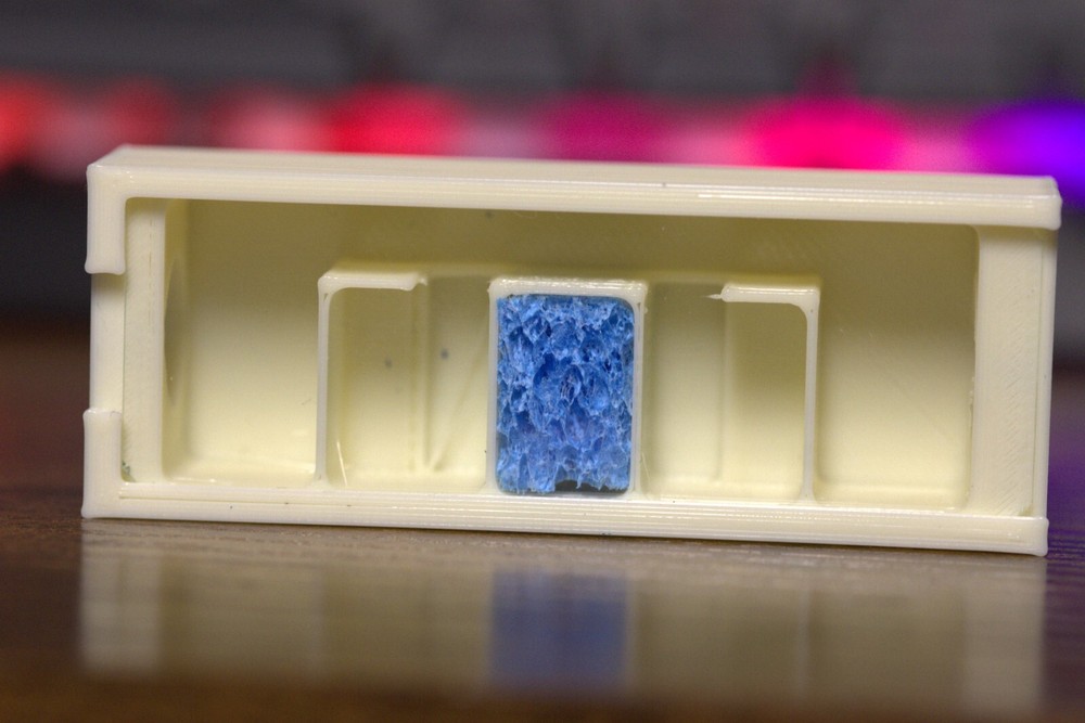 ant farm formicarium ant nest founding nest