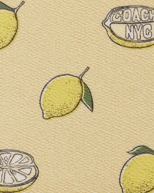 NWT Coach Notebook With Lemon Print CAO42