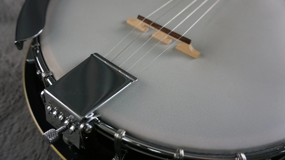 Aria 5-String Banjo Japan w/ Hard Case