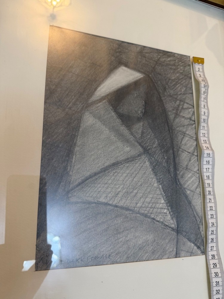 Graphite Drawing “The Dark Female”