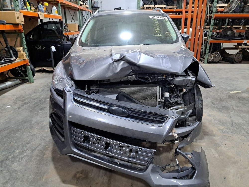 2014 Escape Jack Sku#4378757