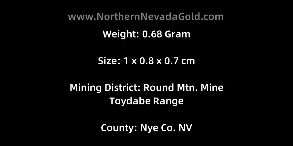 Gold specimen Crystallized Gold 0.68 Gram Round Mtn. Mine Nye Co. NV