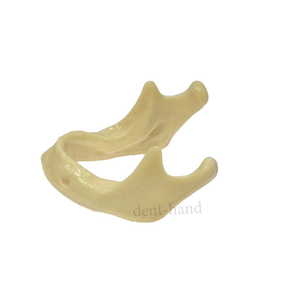 M2022 Dental Drilling Practice Model-Jaw For Implant Insertion Basic Practice