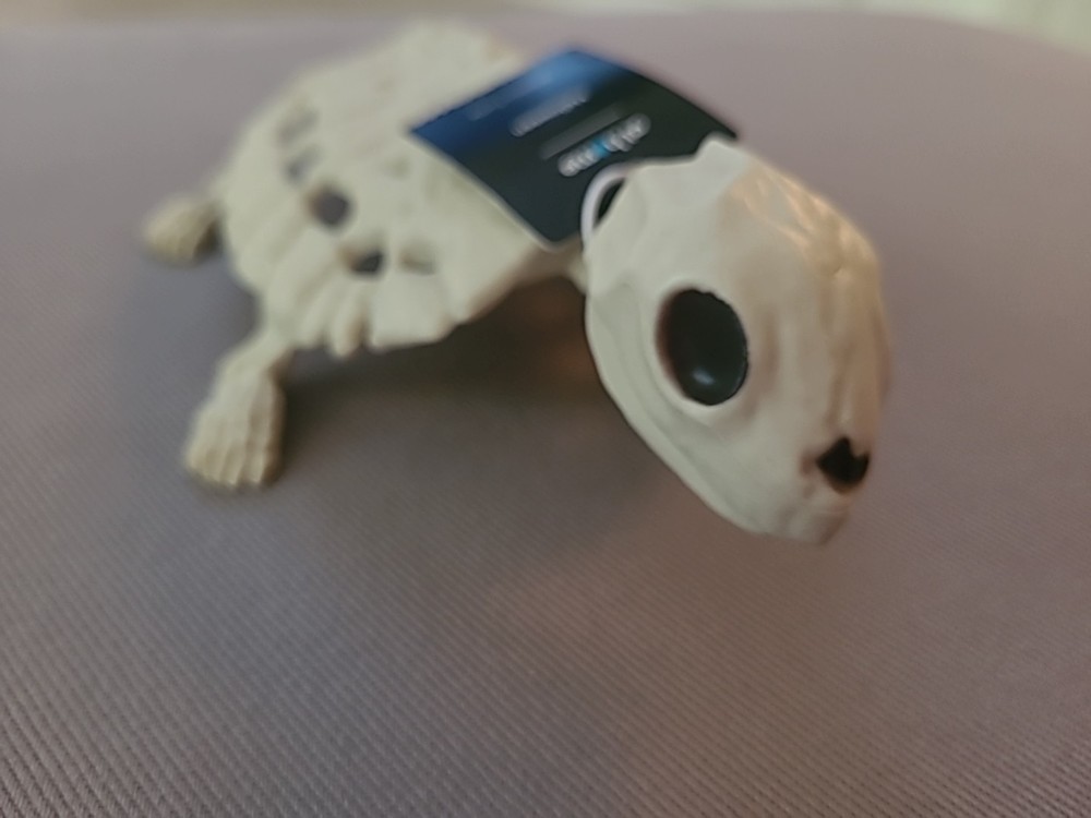 8" Skeleton Turtle Prop
