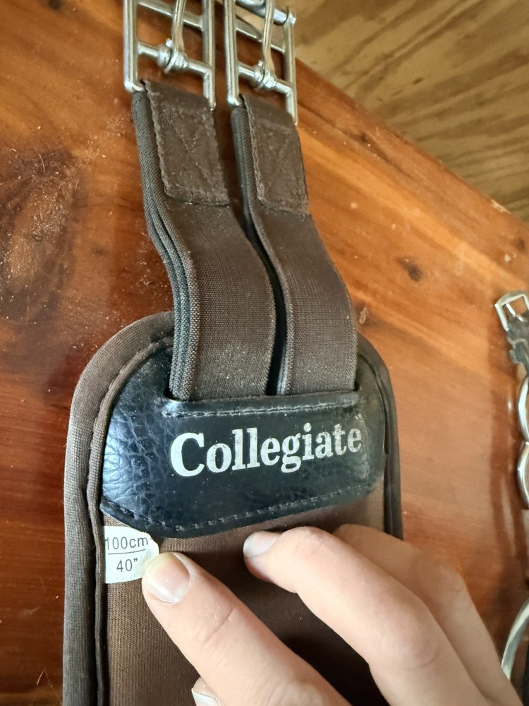 Collegiate 40” Memory Foam Girth