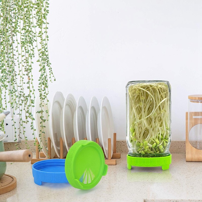 Sprouting Jar Lids | Make Microgreen Sprouts at Home - 2 Pack