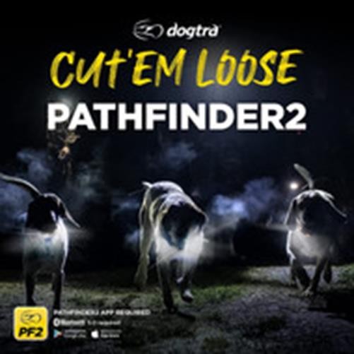 Dogtra PATHFINDER2 GPS Tracking & Training, E-Fence 9 Mile Range
