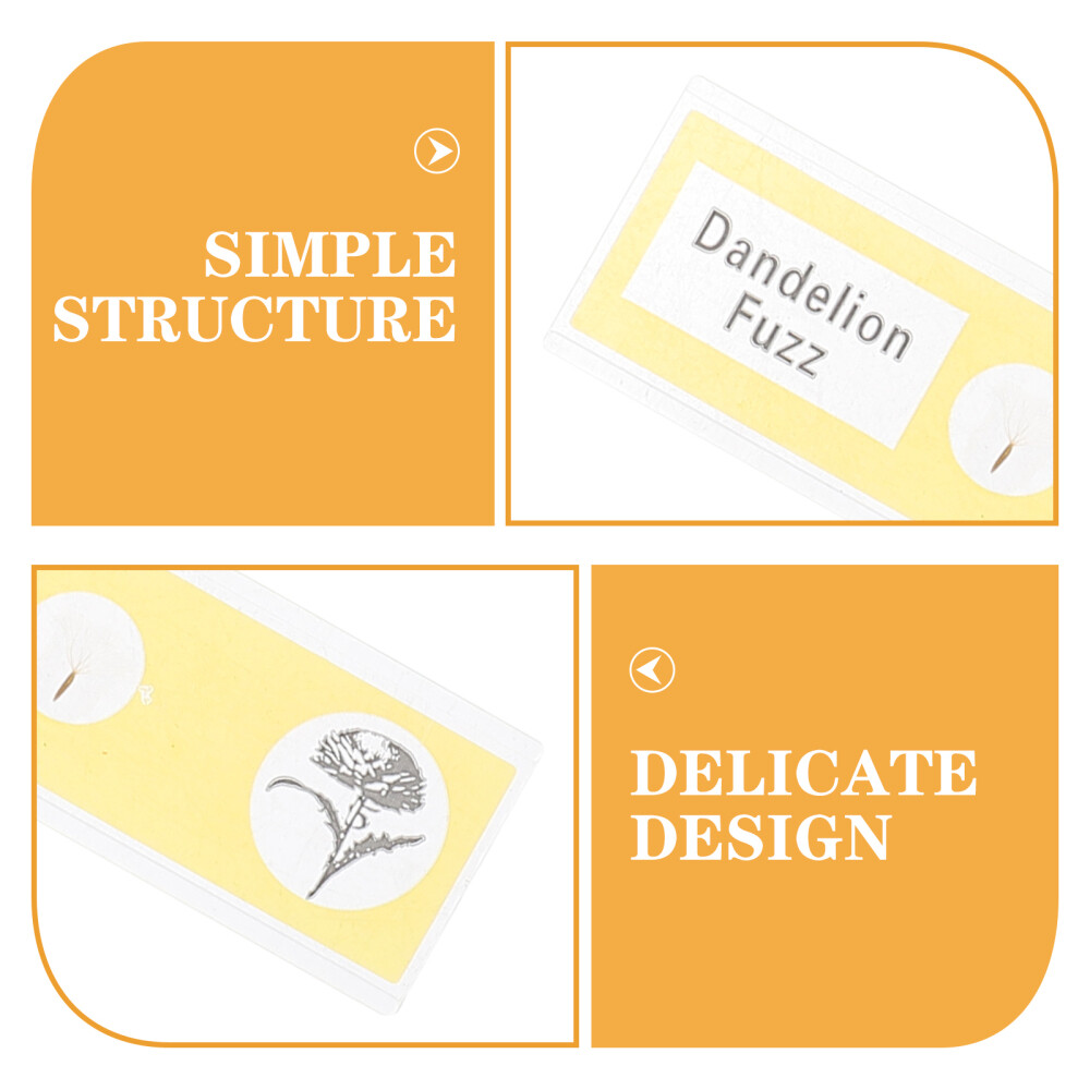 36pcs Microscope Sample Slide Plant Sample Specimen Kid Science Toy