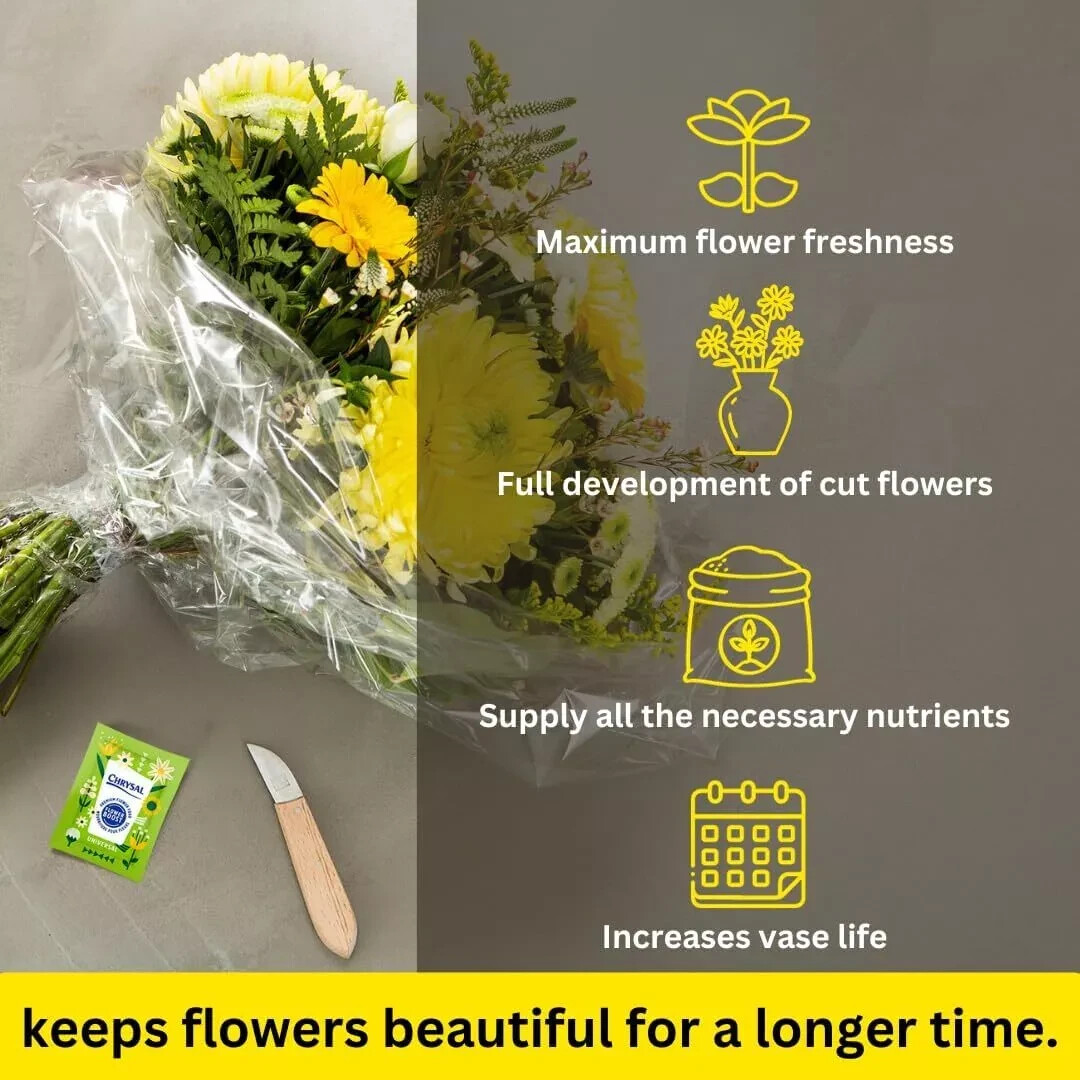 Clear Flower Food Packets for Flower Arrangements & Bouquets – (5g - 100 Ct)
