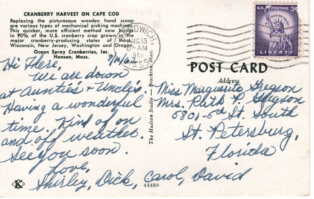 CRANBERRY HARVEST ON CAPE COD, MA - PC5599