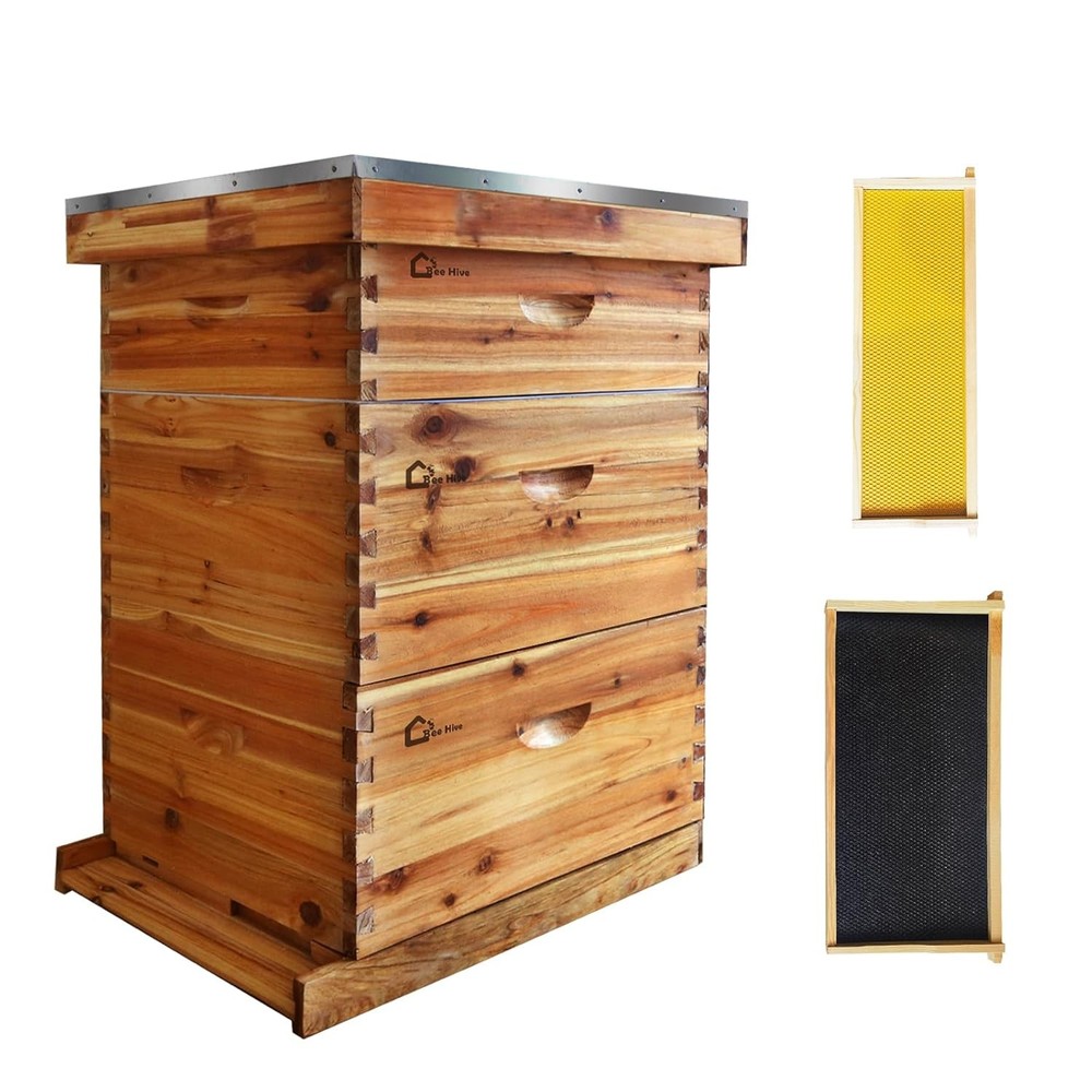 10-Frame Complete Beehive Frame Kit Wax Coated w/ 2 Deep Box 1 Medium Bee Box