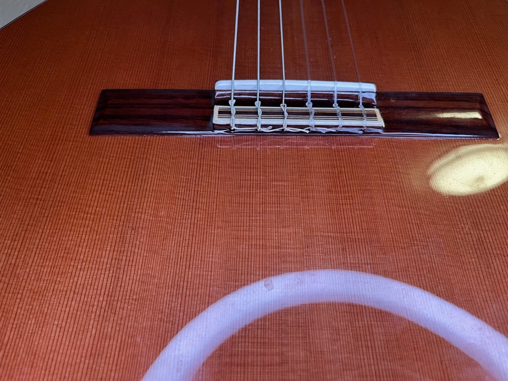 Alhambra 5P Classical Guitar With Hard Case