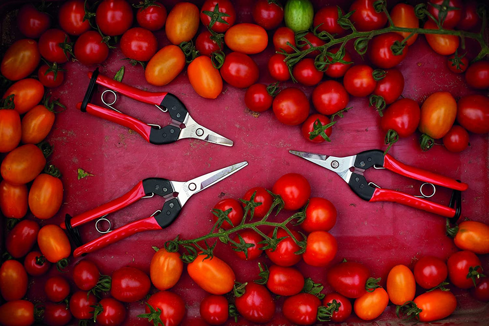 F320 Pruning Snips – 6" Garden Clippers with Curved Blade & Rounded Tip | Prunin