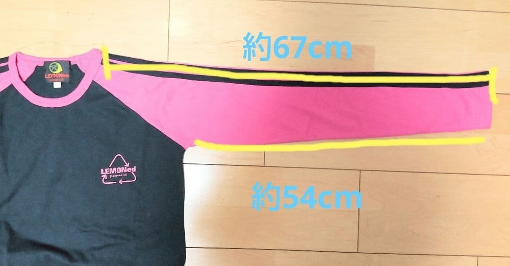 hide LEMONed long Tshirt