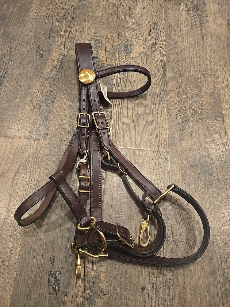 halter bridle combo
