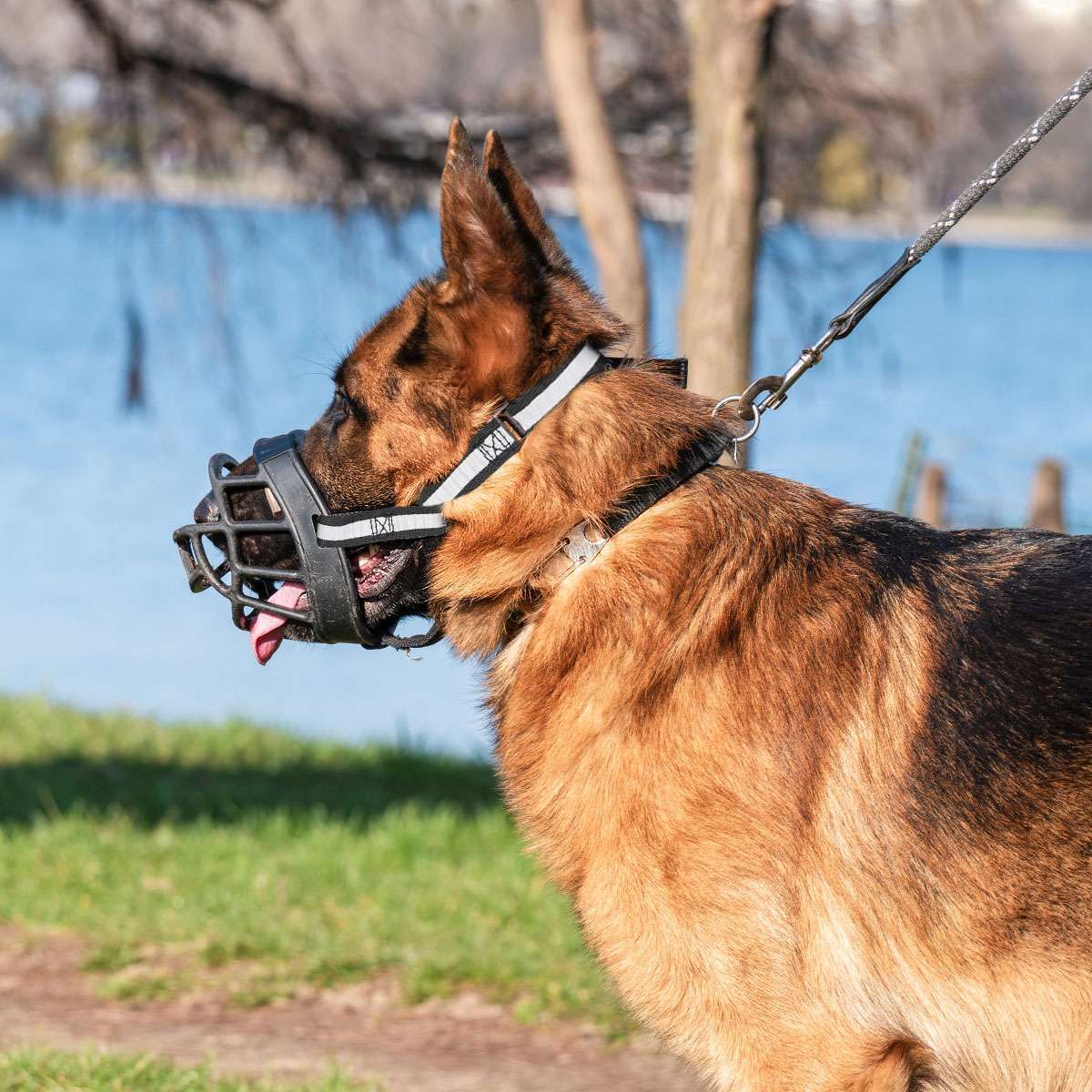 Large Pet Dog Basket Muzzle Mouth Cover Mesh Cage No Barking Biting Chewing