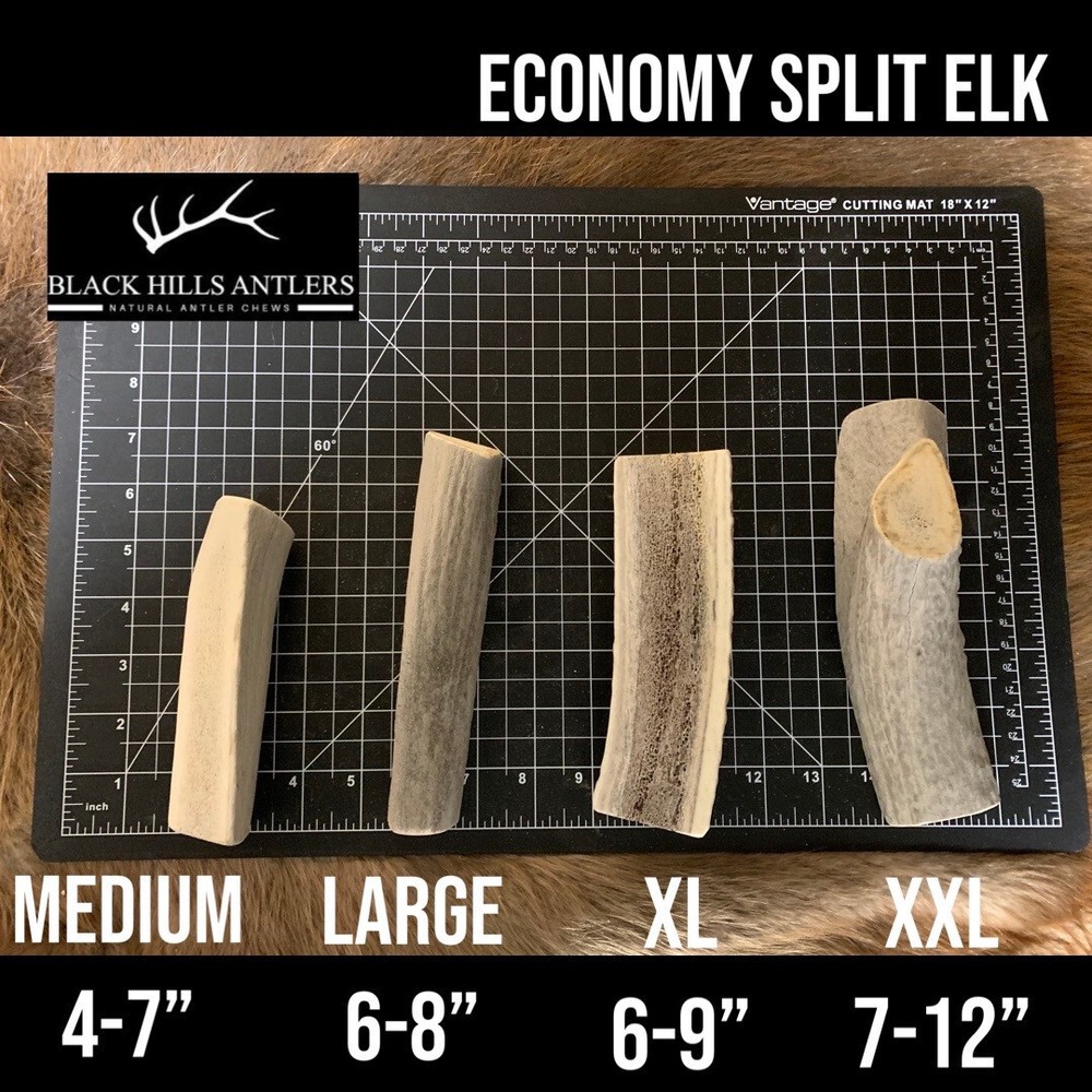 Medium Split Economy Elk Antler Dog Chew - 4 Pack