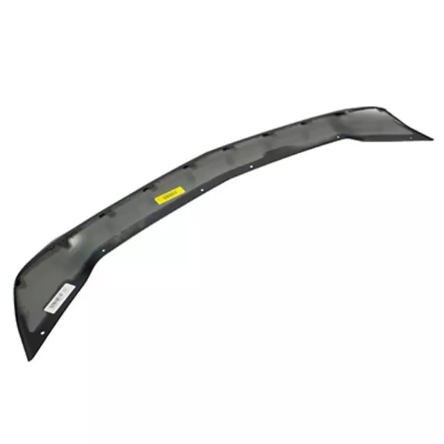 Genuine Ford Panel Finish EJ7Z8419AA