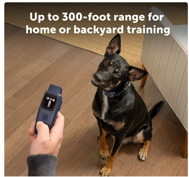 PetSafe® Core Dog Training E-Collar with Remote - Waterproof Bark Collar/Shock