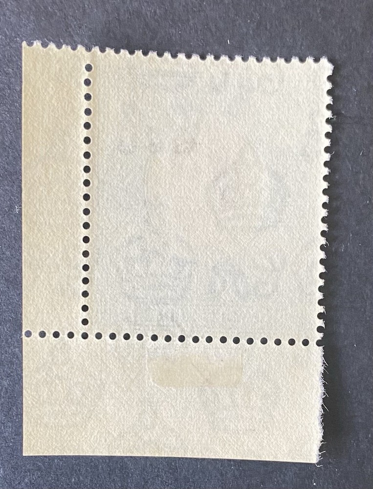CYPRUS QEII 1955 £1 CORNER MARGINAL EXAMPLE SG187 MNH