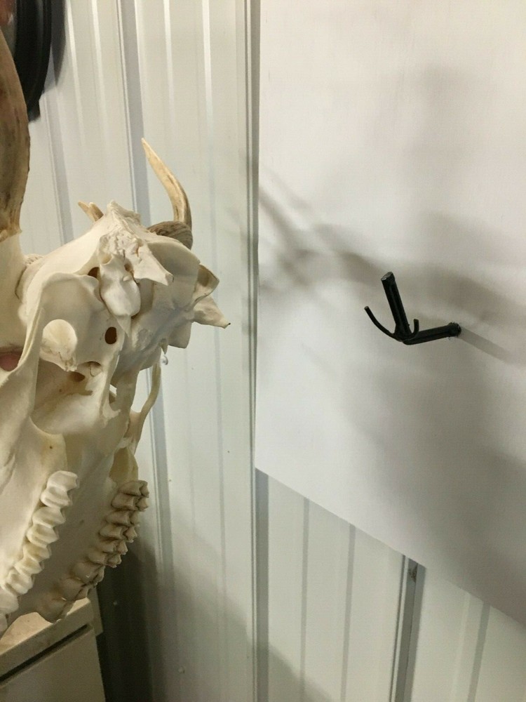 European Deer Mounting System
