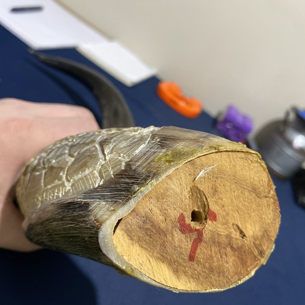 Hand Carved Horn