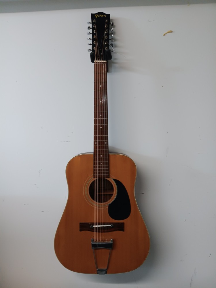 pan acoustic 12 string w/case