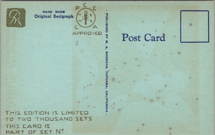 Vintage AQUARIUS Zodiac Birthday Greetings Postcard Sheehan Screen-Printed Card