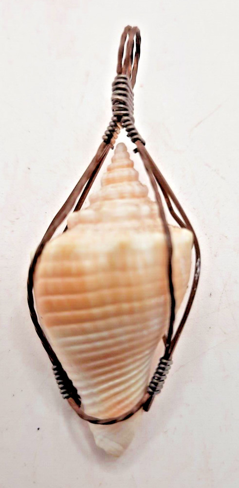 Small Conch Shell Wire Wrap 1 3/4 inches