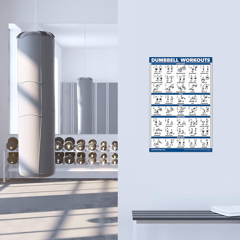 Quickfit 2 Pack Dumbbell Workout Exercise Poster - Volume 1 & 2 - LAMINATED