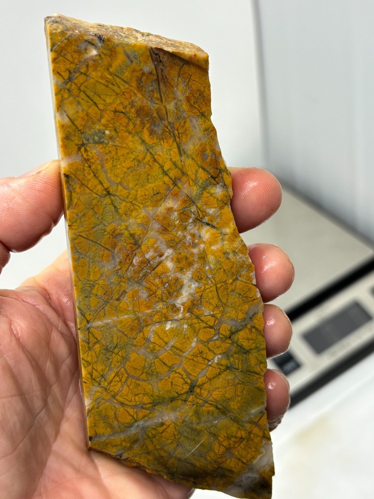 Brecciated Jasper Slab Cabbing Lapidary Combo Ship Available