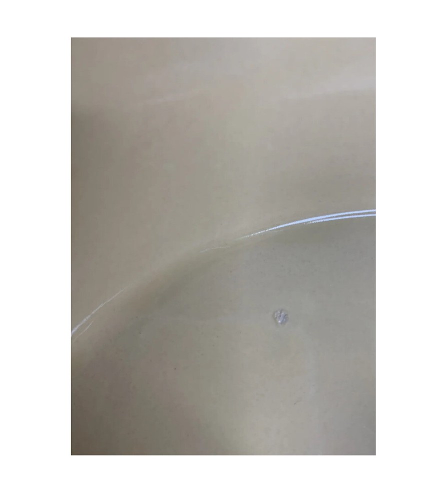 Nantucket 14" Oval Casserole Serving Dish with Handles Leaf Pattern Autumn Fall