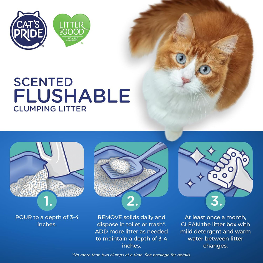 Lightweight Clumping Litter: Flushable - Powerful Odor Control - Scented, 10 Pou