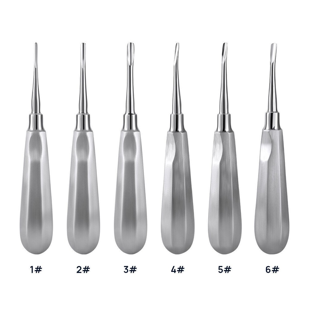 6 Pcs Dental Tooth Extraction Root Elevators #1-6 Set Luxating Luxation Elevator