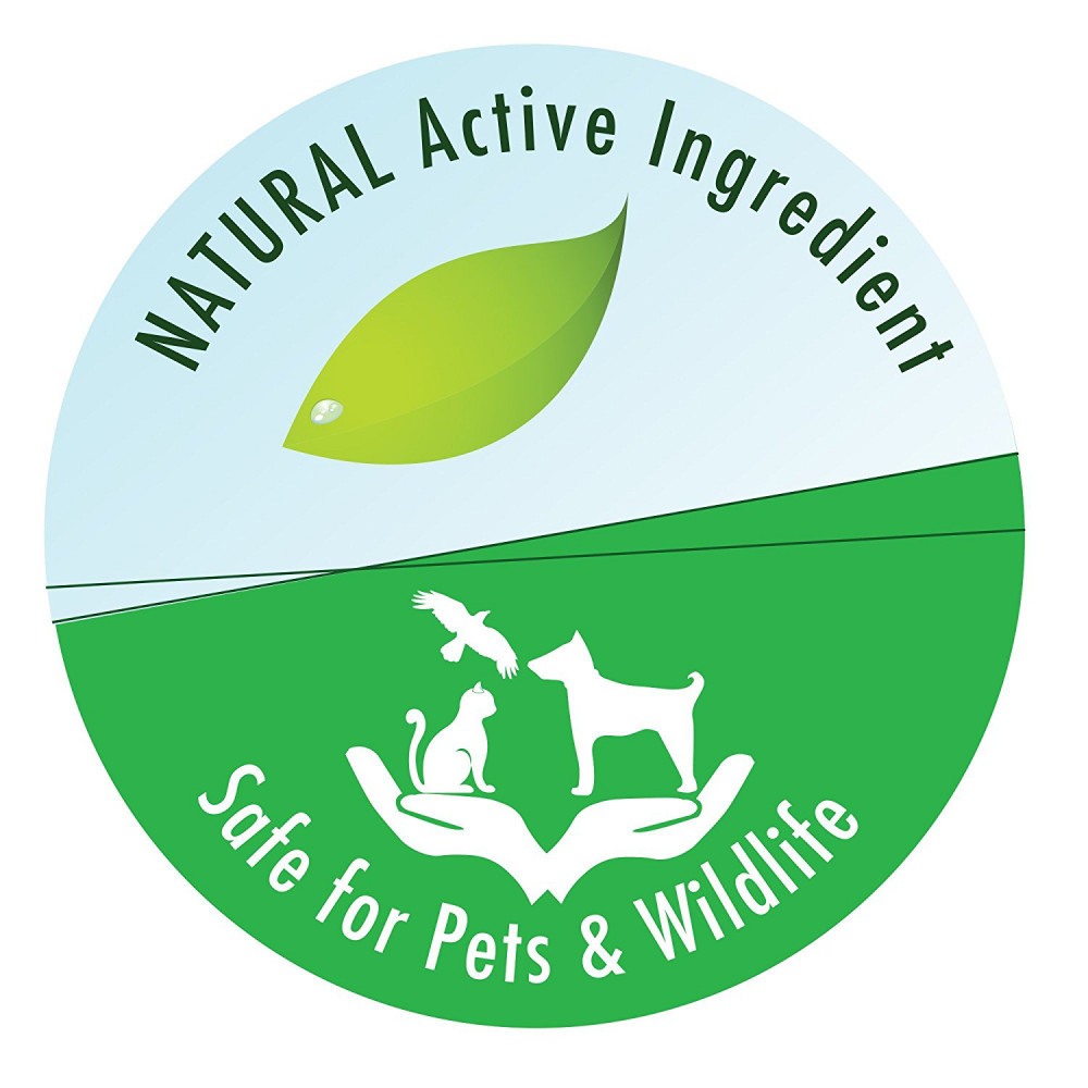 API POND-ZYME SLUDGE DESTROYER Pond Water Cleaner